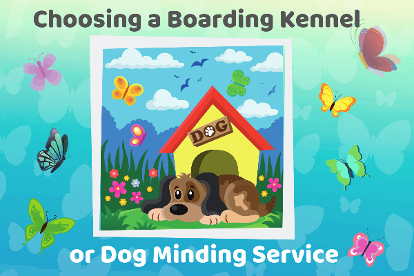 Choosing a Boarding Kennel