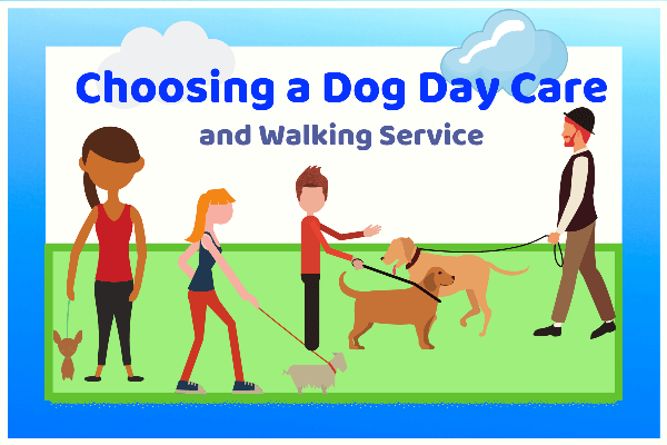 Choosing a Dog Day Care