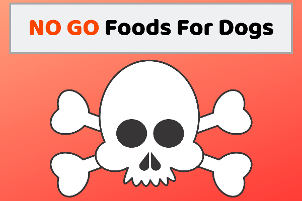 NO GO Foods For Dogs