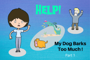 Help My Dog Barks Too Much - Part 1